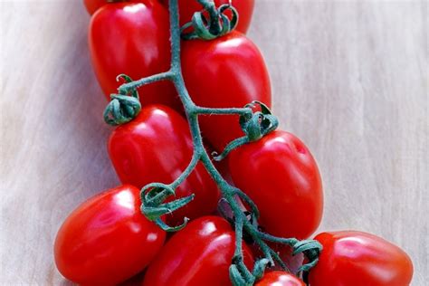 Como cultivar tomate na varanda você vai amar essas dicas Agrorural net