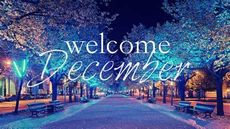 Welcome December Letter In Colorful Lights Street Trees Background HD December Wallpapers | HD ...