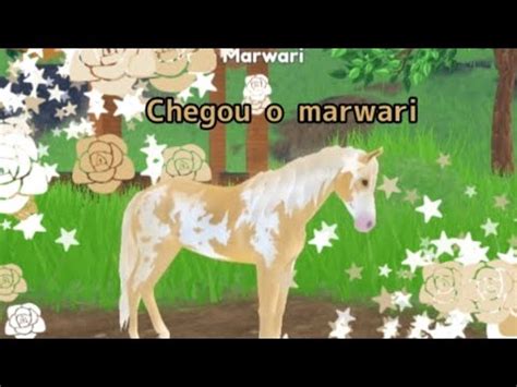 A raça marwari chegou Wid horse islands YouTube