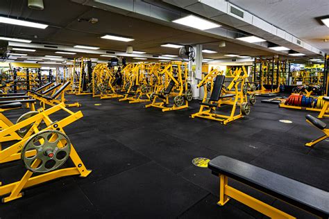 golds gym   open golds gym fishkill upquzq