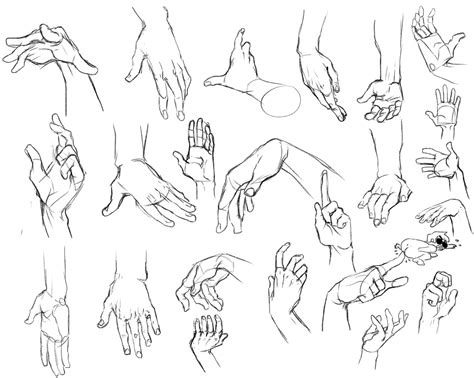 Figure Drawing Hand Reference – NBKomputer