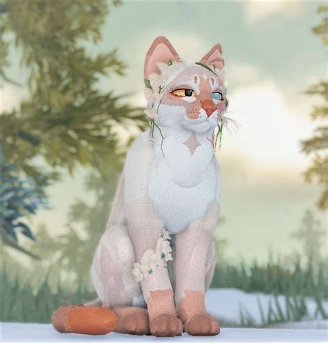 MORPH INSPO In 2023 Warrior Cat Oc Warrior Cats Warrior Cats Fan Art