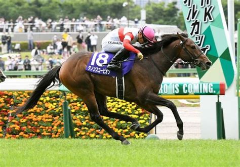 【木津の土曜競馬コラム・京王杯スプリングc】 日刊ゲンダイ競馬