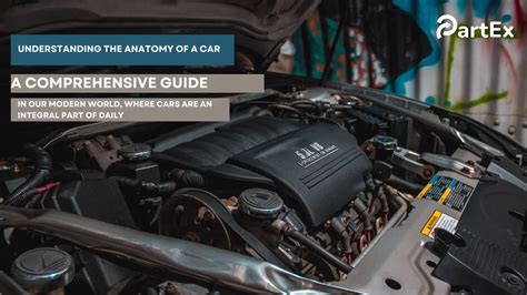 Understanding The Anatomy Of A Car A Comprehensive Guide Partex