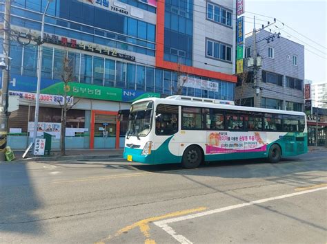 경남도 청년19~24세 대중교통비 지원 사업으로 최대 월 1만 원 지원한다 더경남뉴스