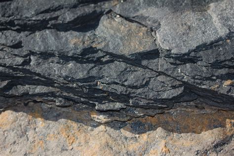 Shale And Coal In Surface Rock Denniston Plateau 2013 06 12 Img 8130