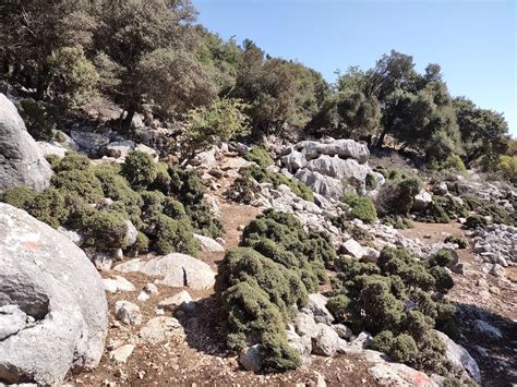 Trail With Blazes Just East Of H Seyins Farmhouse Between Sar Belen