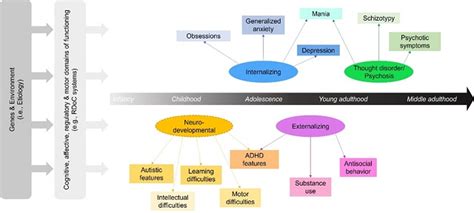 Beyond Labels A New Framework For Neurodiversity And Mental Health