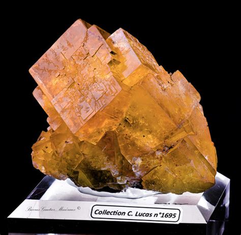 Fluorite Barras Gautier Min Https Static Wixstatic Media Daf Af