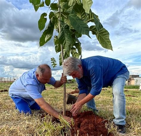 Saev Ambiental Saev Ambiental E Prefeitura De Votuporanga Fazem