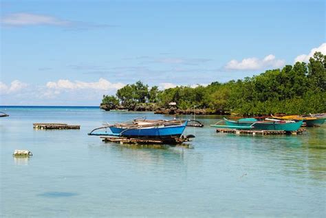 Marine Sanctuaries In Siquijor Travel To The Philippines