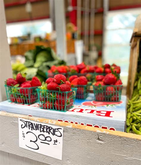 Your Guide To Asheville Farmers Markets Post Hurricane When In