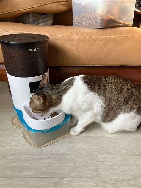 ROJECO Automatic Cat Feeder With Camera Food Dispenser Voice Recorde