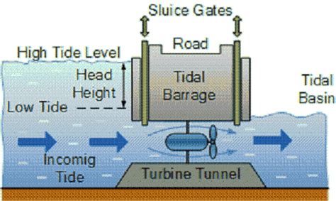 Diagram Of How Tidal Power Works Tidal Power Diagram