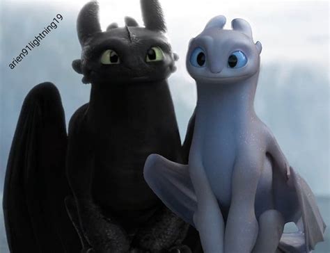 Httyd 2 Toothless And Light Fury Draghi