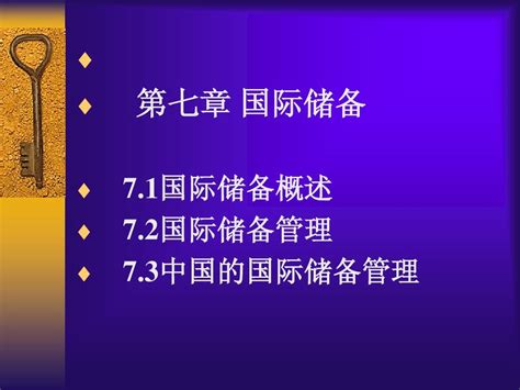 第七章 国际储备国际金融 东北财经刘军善等word文档在线阅读与下载无忧文档