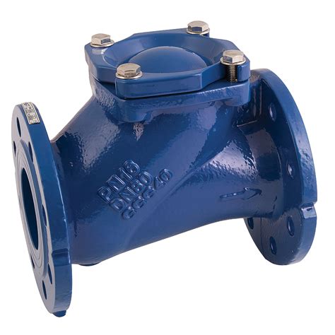 6 PN16 CAST IRON BALL CHECK Valve Seagull Fittings