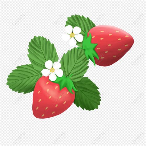 Descarga De Material De Dibujos Animados De Dos Fresas Png Imágenes