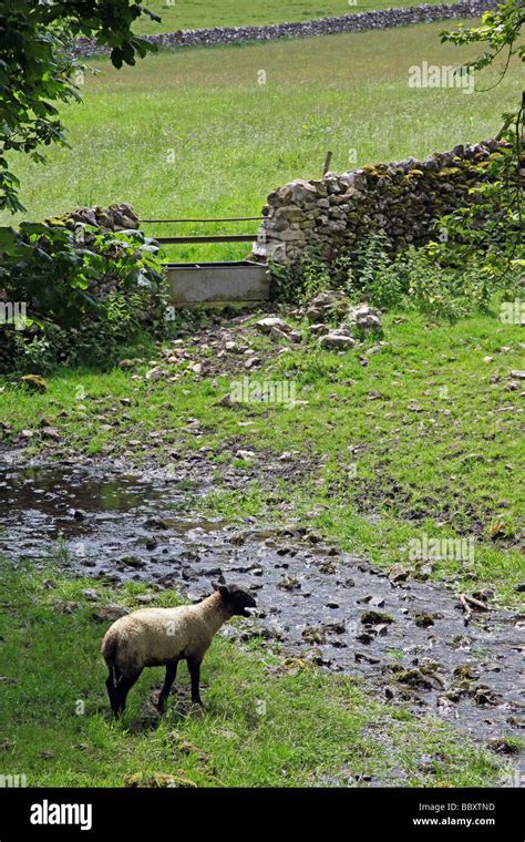 Peak District National Park Stock Photo - Alamy