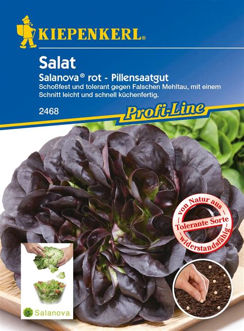 Kiepenkerl Profi Line Salat Salanova Rot Kaufen Bei OBI