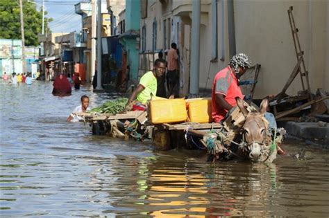 L Onu Et Ses Partenaires Lancent Un Programme De R Ponse Aux