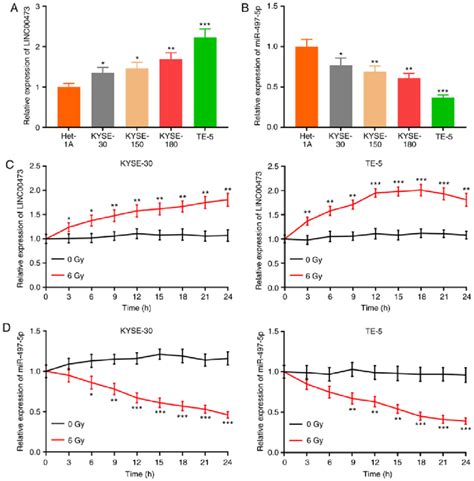 LINC00473 expression is increased, while miR-497-5p expression is ...