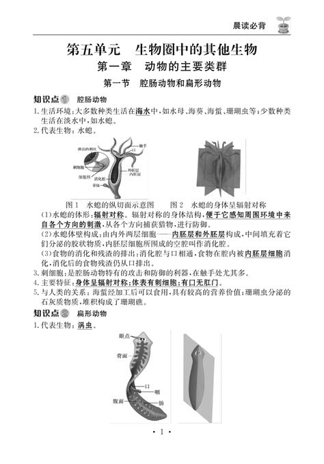 2023年初中生物学八年级上册（人教版）晨读必背（pdf版） 21世纪教育网