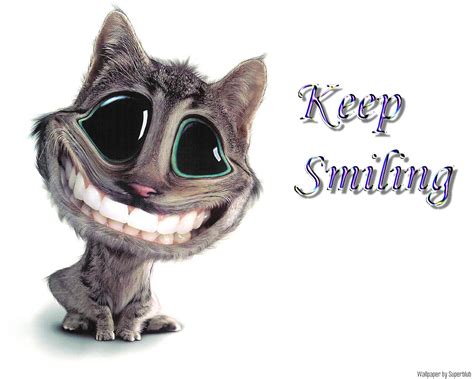 smile ldii sampit