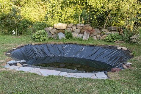 Aménager une mare dans son jardin Les Jardins de Noé