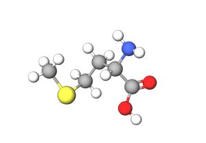 Methionine | Structure, Formula & Function | Study.com