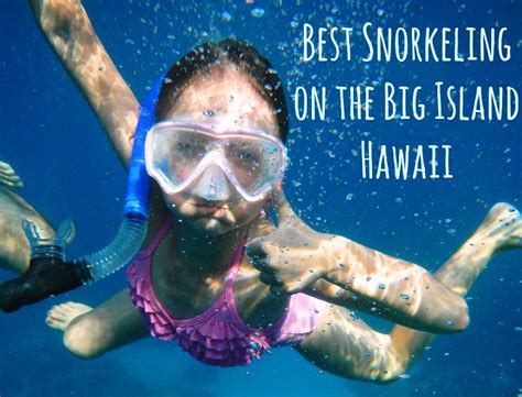 Best Big Island Snorkeling Spots | Outside the Cage