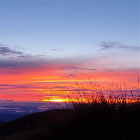 Sunrise at Mt. Pulag : r/Philippines