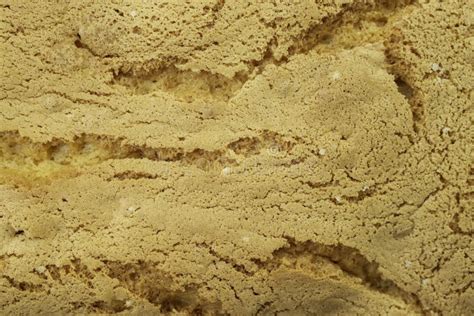 Sponge Cake Crust Texture With Cracks Soft Focus Stock Image Image