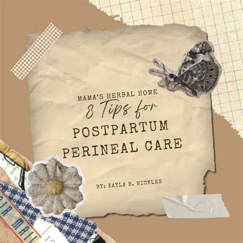 8 TIps for Postpartum Perineal care — Mama's Herbal Home