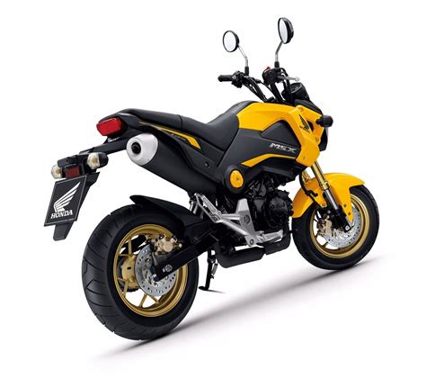 New Honda MSX 125 มนสตรทไบคมาดใหม AUTODEFT ขาวรถยนต รววรถ