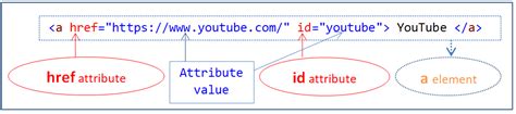 Css Attribute Selectors Explained With Example And Dom Tree