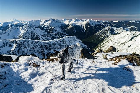 Hiking Thompson Peak in the Fraser Valley - Best Hikes BC