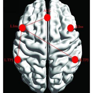 The Group Level Functional Connectivity Maps Seeded At Rois And Their