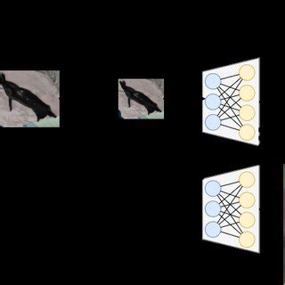 An Illustrative Model of the ZSSR. | Download Scientific Diagram