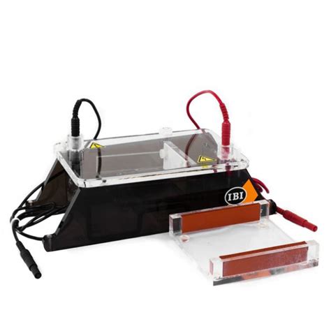 Buy Ibi Scientific Jsb Mini Gel O Horizontal Electrophoresis System