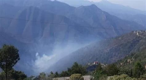 Incendio Forestal Devora Parte De La Sierra Gorda De Hidalgo