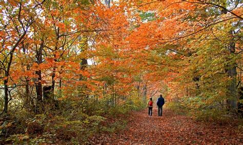 18 Of The Best Hiking Trails In Massachusetts • The Grom Life