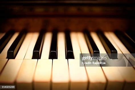 Ivory Piano Keys Photos and Premium High Res Pictures - Getty Images