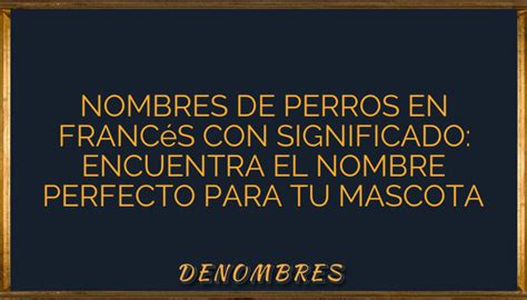 Nombres De Perros En Franc S Con Significado Encuentra El Nombre