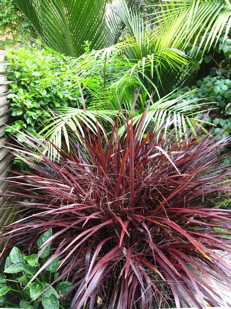 19 Subtropical Gardens Ideas Plants Lush Tropical Garden