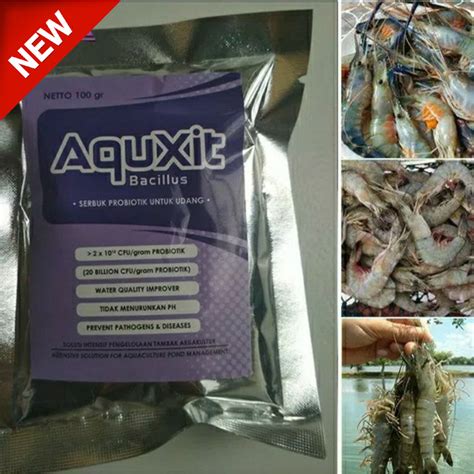 Jual Probiotik Budidaya Ikan Dan Udang AQUXIT BACILLUS 100gram