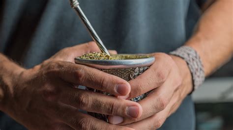 Cáncer De Próstata Científicos Argentinos Desarrollan Un Extracto De Yerba Mate Como