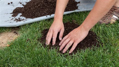 Herstel De Kale Plekken In Je Gazon Snel En Langdurig Dcm