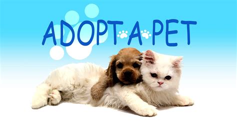 Adopt Me Pets Wallpapers - Top Free Adopt Me Pets Backgrounds - WallpaperAccess