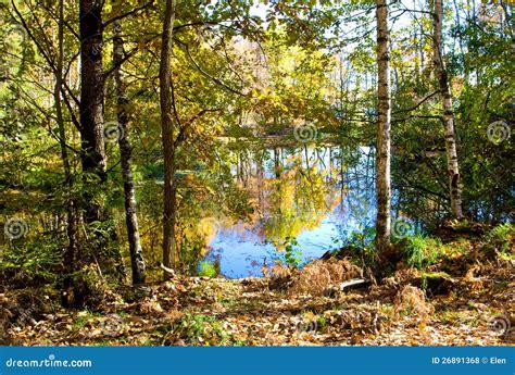 Lake In Forest Autumn Stock Photo Image Of Beauty Reflected 26891368